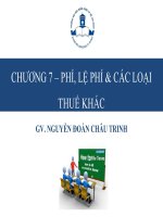 bài giảng chương 3 thuế  other taxes  fees 