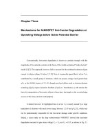 Hot carrier mechanisms in advanced NMOS transistors 4 
