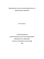 Preparation of novel chitin derivatives via homogeneous method 