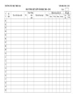 MAU TONG KET LOP 2010 2011