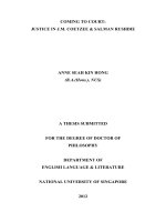 Coming to court justice in j m  coetzee and salman rushdie