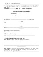 MẪU BÁO CÁO THÀNH TÍCH CÁ NHÂN