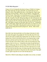 Tiểu luận quản trị học tìm hiểu về hình thức quản trị của công ty cổ phần ô tô trường hải