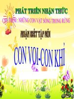 Bài giảng điện tử mầm non lớp Mầm đề tài Nhận biết tập nói con voi, con khỉ