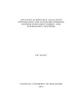 Advances in resource allocation optimization for multiuser wireless systems with joint energy and information transfer