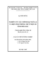 Nghiên cứu sâu chính hại ngô lai và biện pháp phòng trừ ở một số tỉnh phía bắc