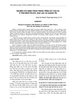 Nghiên cứu bệnh phấn trắng trên cây cao su ở tỉnh Bình Phước, Đăk lắk và Quảng Trị