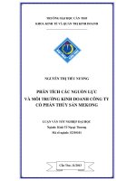 Phân tích các nguồn lực và môi trường kinh doanh công ty cổ phần thủy sản mekong