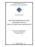 phân tích tình hình xuất khẩu bánh phồng tôm tại công ty cổ phần thực phẩm bích chi