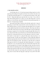 Luận văn thạc sĩ  hóa hữu cơ NGHIÊN cứu ĐÁNH GIÁ KHẢ NĂNG TƯƠNG tác của ETYLEN và dẫn XUẤT ĐIHALOGEN với CACBONĐIOXIT BẰNG PHƯƠNG PHÁP hóa học LƯỢNG tử 