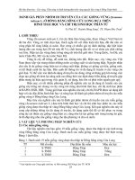 Đánh giá phân nhóm di truyền của các giống vừng (Sesamum indicum L.) ở đồng bằng sông Cửu Long dựa trên hình thái học và chỉ thị sinh học phân tử