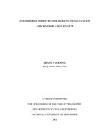 An embedded improved soil berm in an excavation   mechanisms and capacity