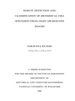Robust detection and classification of biomedical cell specimens from light microscope images 