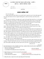 thi hoc ki II mon tieng viet lop 5