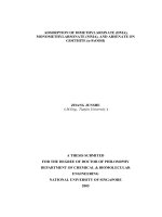 Adsorption of dimethylarsinate (DMA) monomethylarsonate (MMA), and arsenate on goethite (alpha FeOOH 