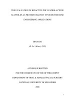 The evaluation of bioactive polycaprolactone scaffolds as protein delivery systems for bone engineering applications 