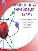 SLIDE hạt NANO từ TÍNH và NHỮNG ỨNG DỤNG TIỀM NĂNG