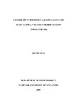 Feasibility of probiotic lactobacillus and yeast as oral vaccine carrier against coronaviruses 