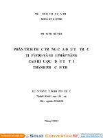 Phân tích thực trạng của đầu tư trực tiếp (FDI) và giải pháp nâng cao hiệu quả đầu tư tại thành phố cần thơ