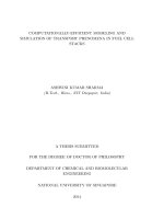 Computationally   efficient modeling  simulation of transport phenomena in fuel cell stacks