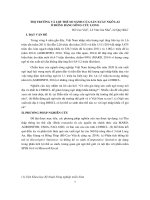 Thị trường và lợi thế so sánh của sản xuất Ngô lai ở Đồng bằng Sông Cửu Long