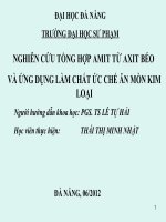 Luận văn thạc sĩ  hóa hữu cơ NGHIÊN cứu TỔNG hợp AMIT từ AXIT béo và ỨNG DỤNG làm CHẤT ức CHẾ ăn mòn KIM LOẠI 