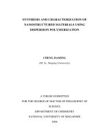 Synthesis and characterization of nanostructured materials using dispersion polymerization 