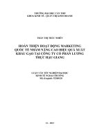 Hoàn thiện hoạt động marketing quốc tế nhằm nâng cao hiệu quả xuất khẩu gạo tại công ty cổ phần lương thực hậu giang