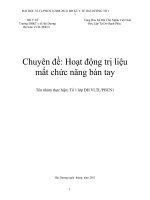 Chuyên đề hoạt động trị liệu mất chức năng bàn tay
