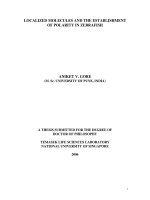 Localized molecules and the establishment of polarity in zebrafish 