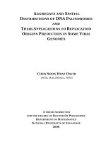 Aggregate and spatial distributions of DNA palindromes and their applications to replication origins prediction in some viral genomes