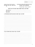 MẪU BC THỰC HIỆN VIỆC LÀM MỚI