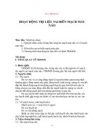 hoạt động trị liệu tai biến mạch máu não