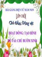 Bài giảng điện tử mầm non lớp Chồi đề tài Tạo hình chú bướm xinh