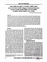 Đề tài: Đặc điểm ra hoa và phát triển trái của cây dừa nước (IMypa fruticans Wurmb) tại 3 vùng nước mặn, lợ và ngọt ở Đồng bằng sông Cửu Long