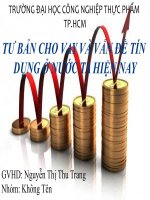 Tư bản cho vay và tư bản thương nghiệp ở Việt Namm