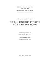 Tiểu luận tính địa phương