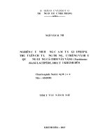 Nghiên cứu ảnh hưởng của một số giải pháp kỹ thuật lên chất lượng trứng, ấu trùng và hiệu quả ương giống cá chim vây vàng (trachinotus blochii lacepède, 1801) tại tỉnh khánh hòa (TT)