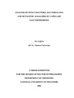 Analysis of intact bacteria, bacterial DNA and mutagenic alkaloids by capillary electrophoresis 