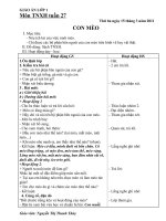 GIAO AN TNXH TUAN 27   LOP 1