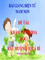 Bài giảng điện tử mầm non lớp Chồi đề tài Khám phá khoa học: Rau muống  Quả bí