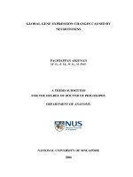 Global gene expression changes caused by neurotoxins 