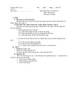 de thi tieng viet 2, HK II moi