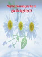 bai cay hoa   tnxh1   huongdt