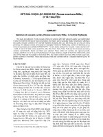 Kết quả chọn lọc giống Bơ (Persea americanaMills.) ở Tây Nguyên