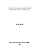 Redox reactions and charge transport through polyaniline membranes 