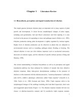 Analysis of ethylene receptor genes from petunia and arabidopsis