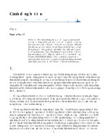 Cánh đồng bất tận(Kịch bản phim)