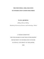 The industrial organization of information goods industries 