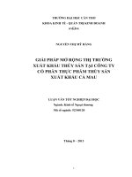 giải pháp mở rộng thị trường xuất khẩu thủy sản tại công ty cổ phần thực phẩm thủy sản xuất khẩu cà mau